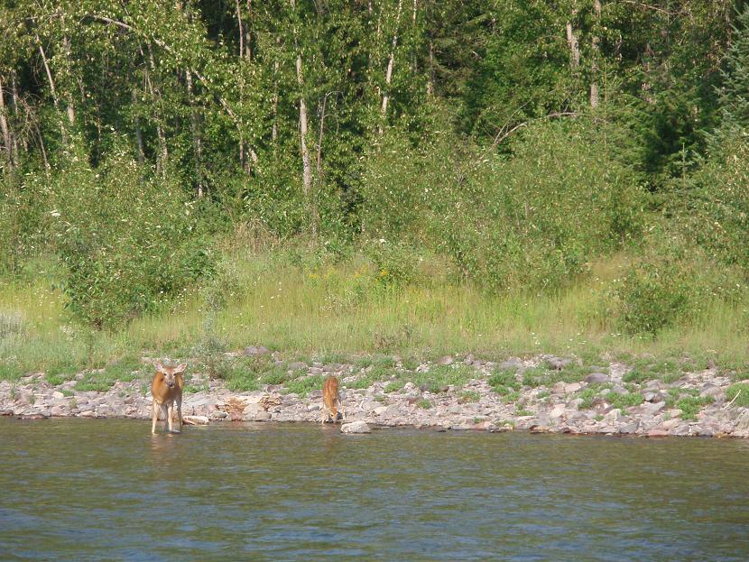 Bruce Carpenter's Hunting/Fishing/Outdoor Page